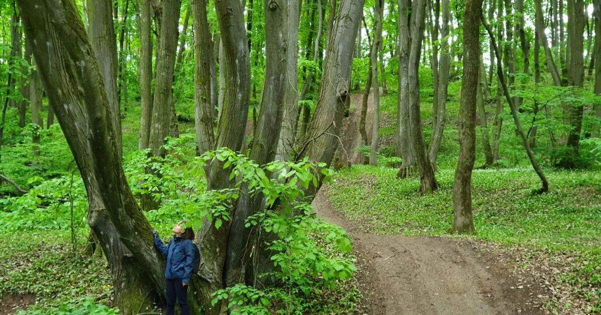 Cele 7 zile „în natură” – Partea II