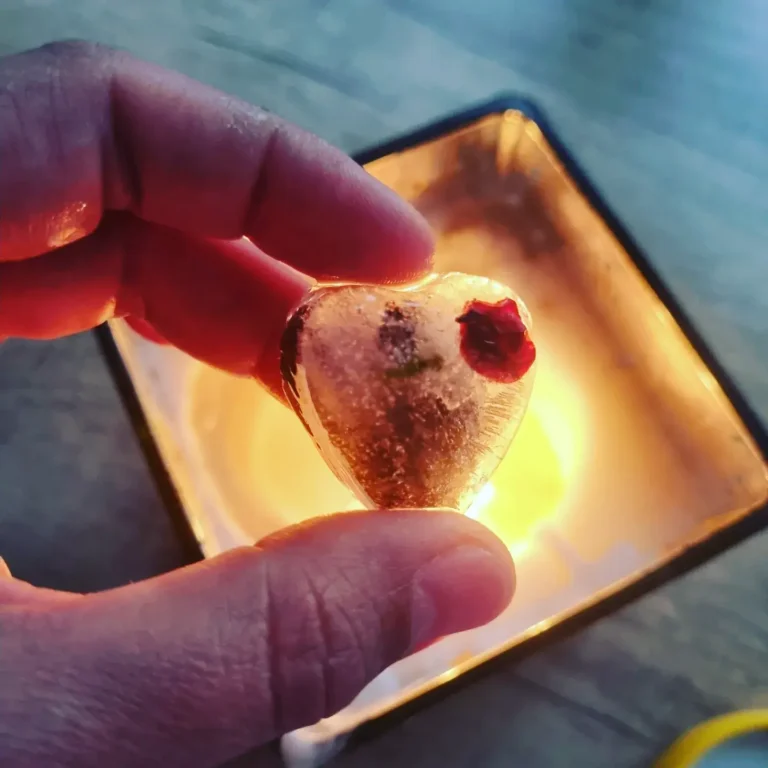 IMG_20230116_123045_514