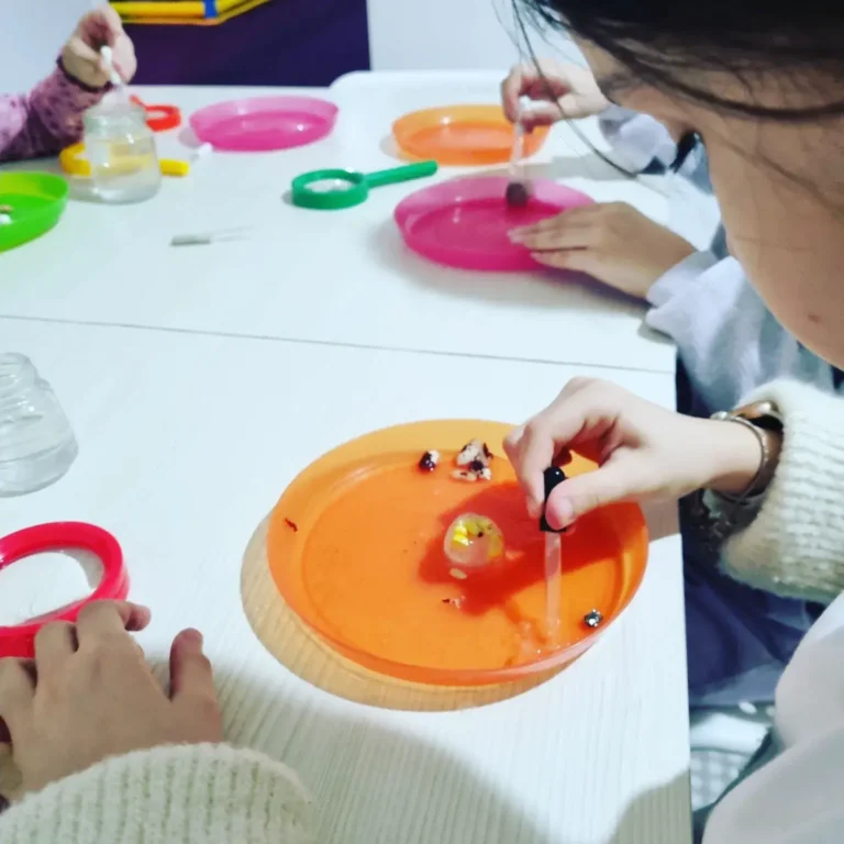 IMG_20230116_123045_649