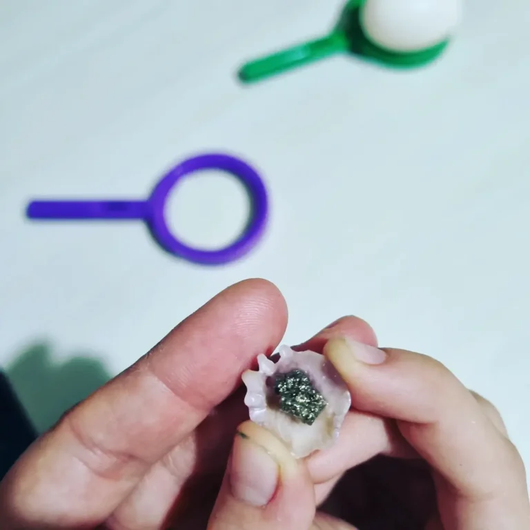 IMG_20230116_123045_811