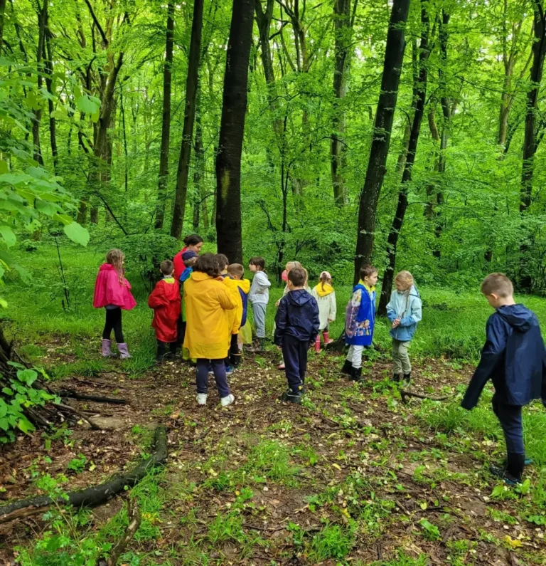 IMG_20230617_211610_017