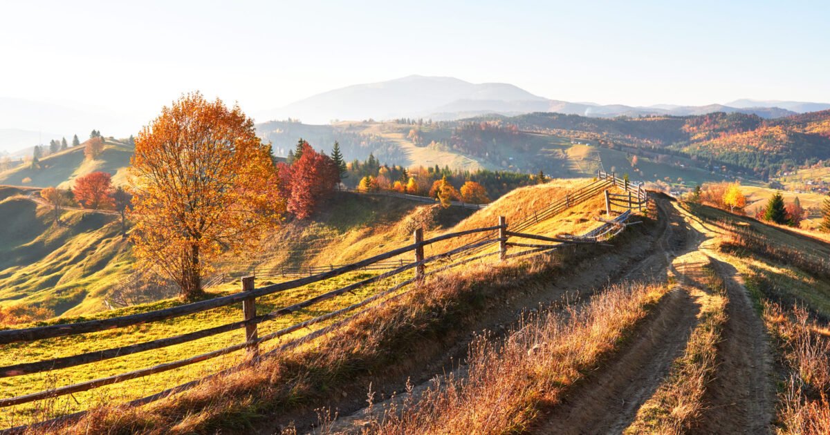 A venit toamna … mai putem ieși în natură? 