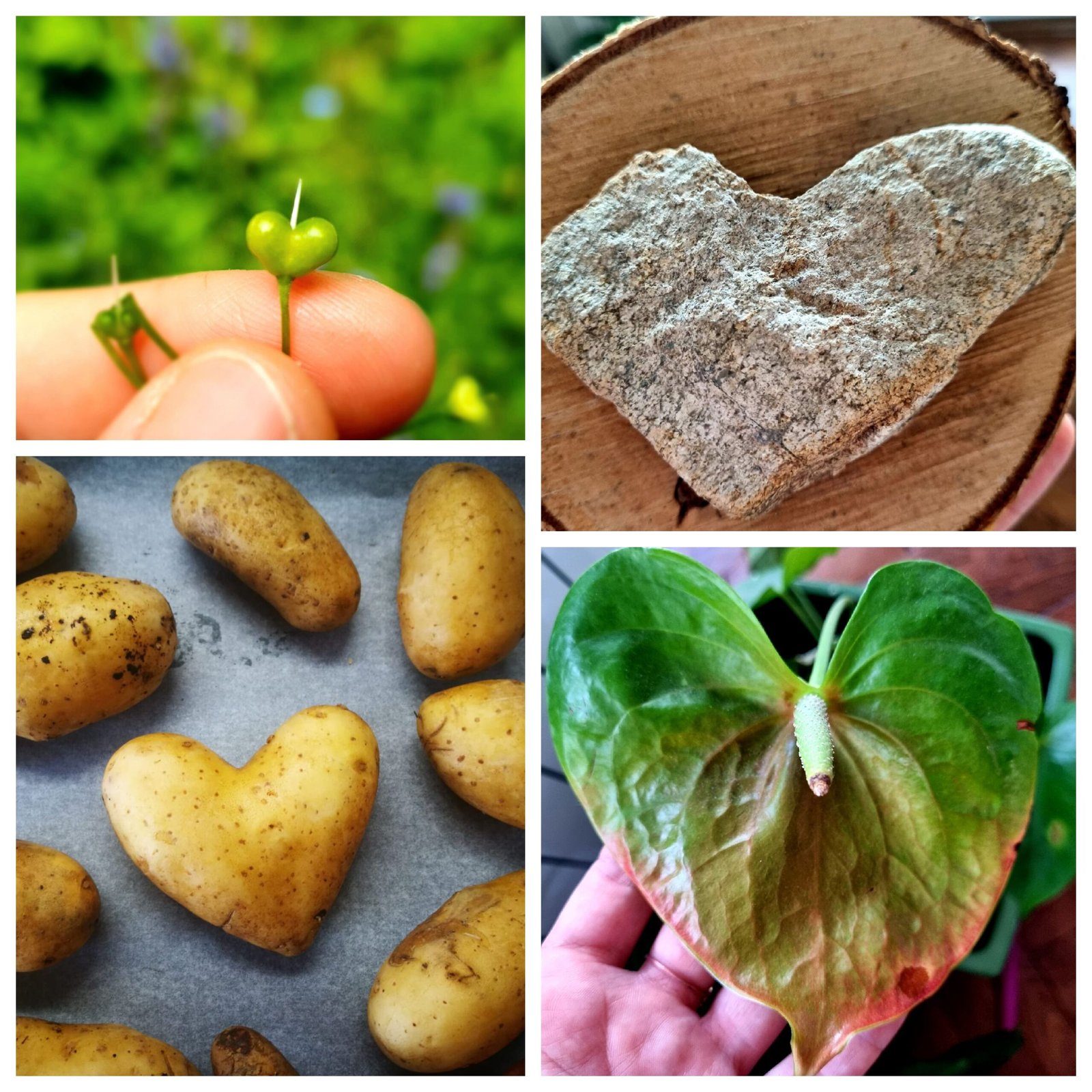 You are currently viewing Bine ai venit, februarie!