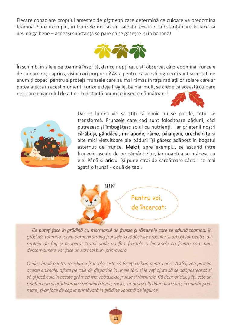 toamna_page_15