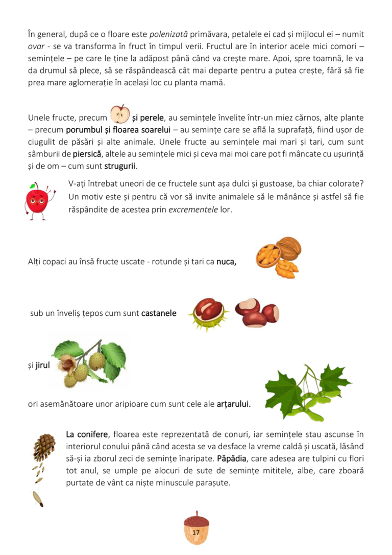 toamna_page_21