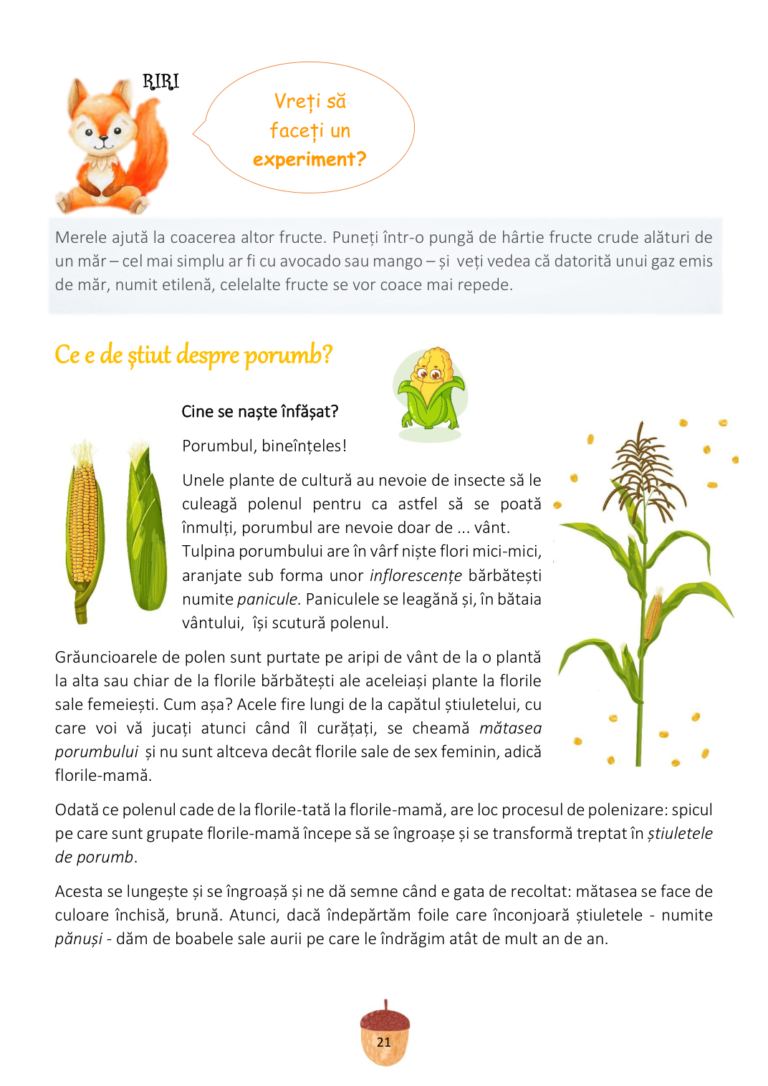 toamna_page_25