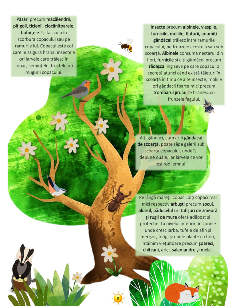 vara_page_09