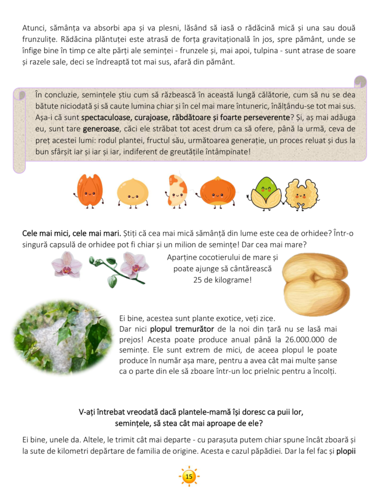 vara_page_15