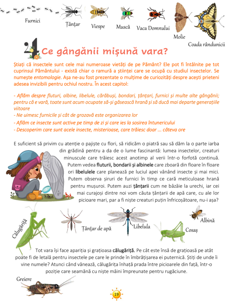 vara_page_19